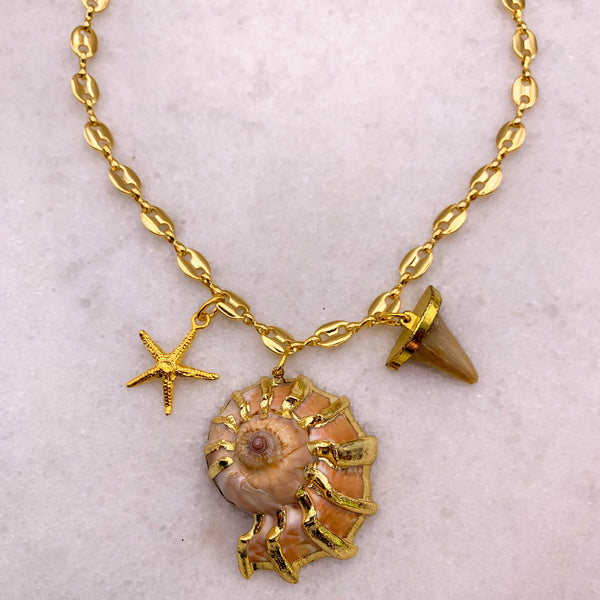 Shell Necklace | Gold Chain | Handmade in Australia | Sharks Tooth
